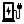 Electric Vehicle Badge